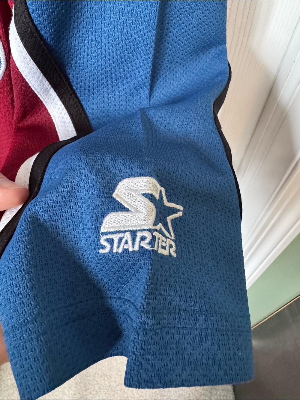 Vintage 90s Starter Colorado Avalanche NHL Hockey Jersey Size Large Blank - Picture 6 of 9